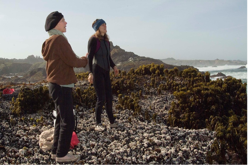 december-gratitude-ocean-harvest-sea-vegetables