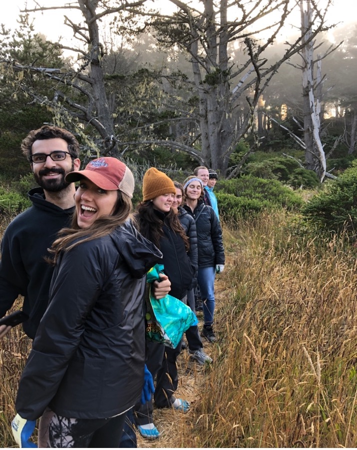 seaweed-foraging-anyone-ocean-harvest-sea-vegetables
